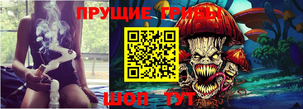купить   Псилоцибиновые грибы Psilocybe  Вход с VPN  Дедовск 