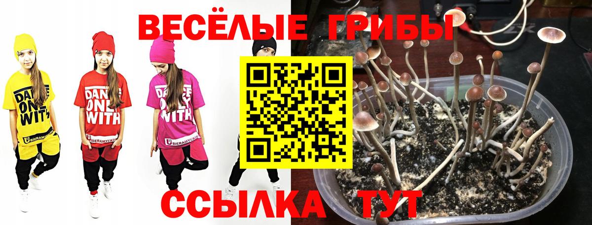 Галлюциногенные грибы мухоморы Дедовск